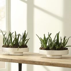 Coco 13 X 13 Inch White Ceramic Pedestal -Jamie Young Store 7coco pewh 5