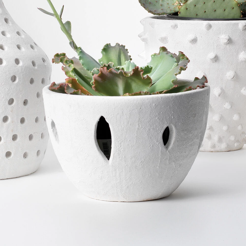 Lacerated 13 X 8 Inch Bowl 5 Lacerated 13 X 8 Inch Bowl - Image 5