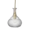 Clear Textured Glass Olive Carafe Pendant