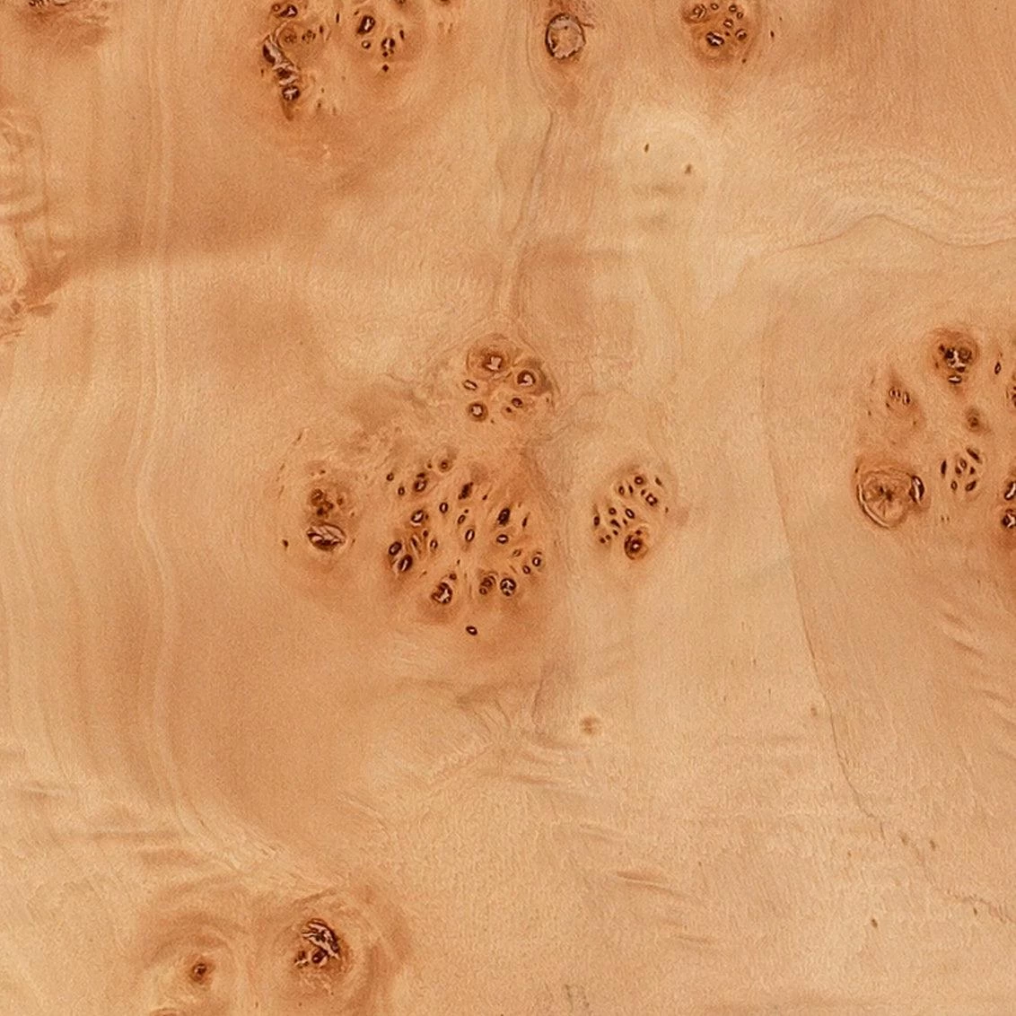 Natural Burl Wood 63" Parallel Floor Lamp 4 Natural Burl Wood 63" Parallel Floor Lamp - Image 4