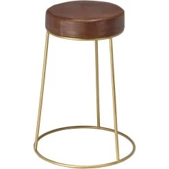 Henry 24 Inch Matte Brown And Brass Counter Stool